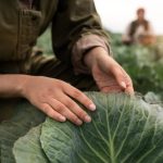 enhancing-farm-profitability